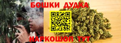 гидра Шебекино