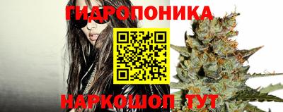 a pvp Шелехов