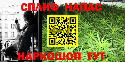 гидра Шебекино