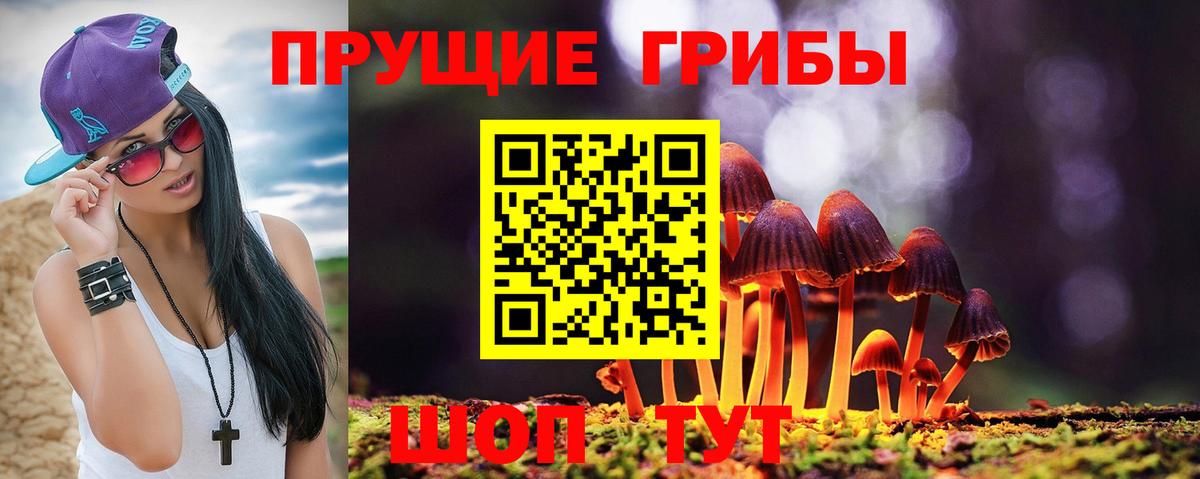 Псилоцибиновые грибы Magic Shrooms  Вход с VPN  Псилоцибиновые грибы мухоморы  Выборг 